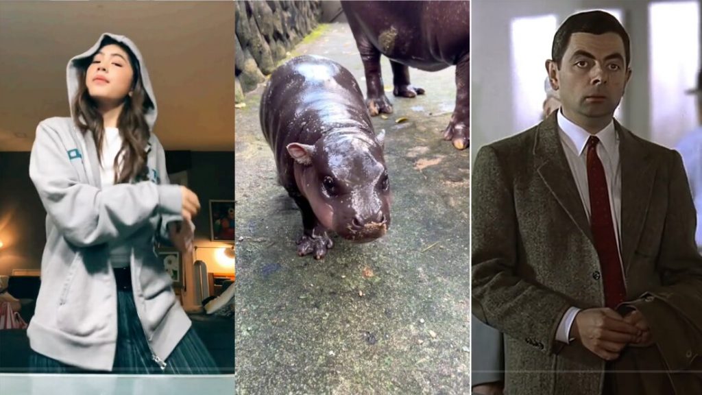 Mr. Bean disciple, lip-sync for their life, baby hippo! : Goats and Soda : NPR