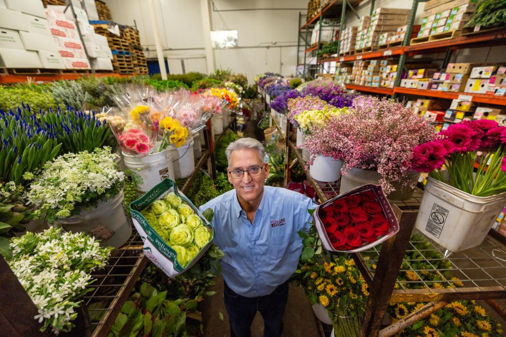 A rose’s journey from a Colombian farm to a parade float in Pasadena