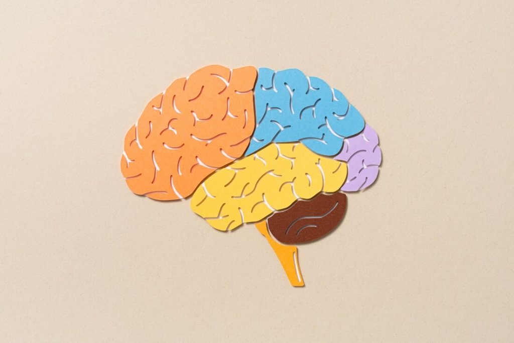 9 unexpected things we learned about mental health and our brains in 2024 : Shots