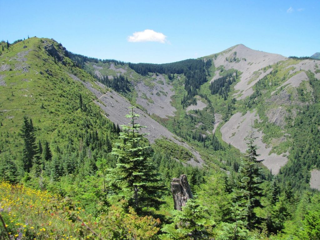 Two men die searching for Sasquatch in Washington state forest