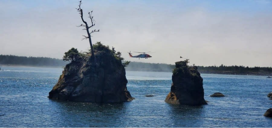 Birds seen roosting on Landmark Tree. (U.S. Coast Guard