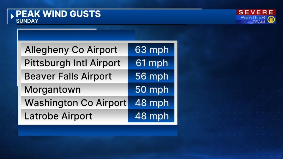 Winds at the Allegheny County Airport reached 63 mph.