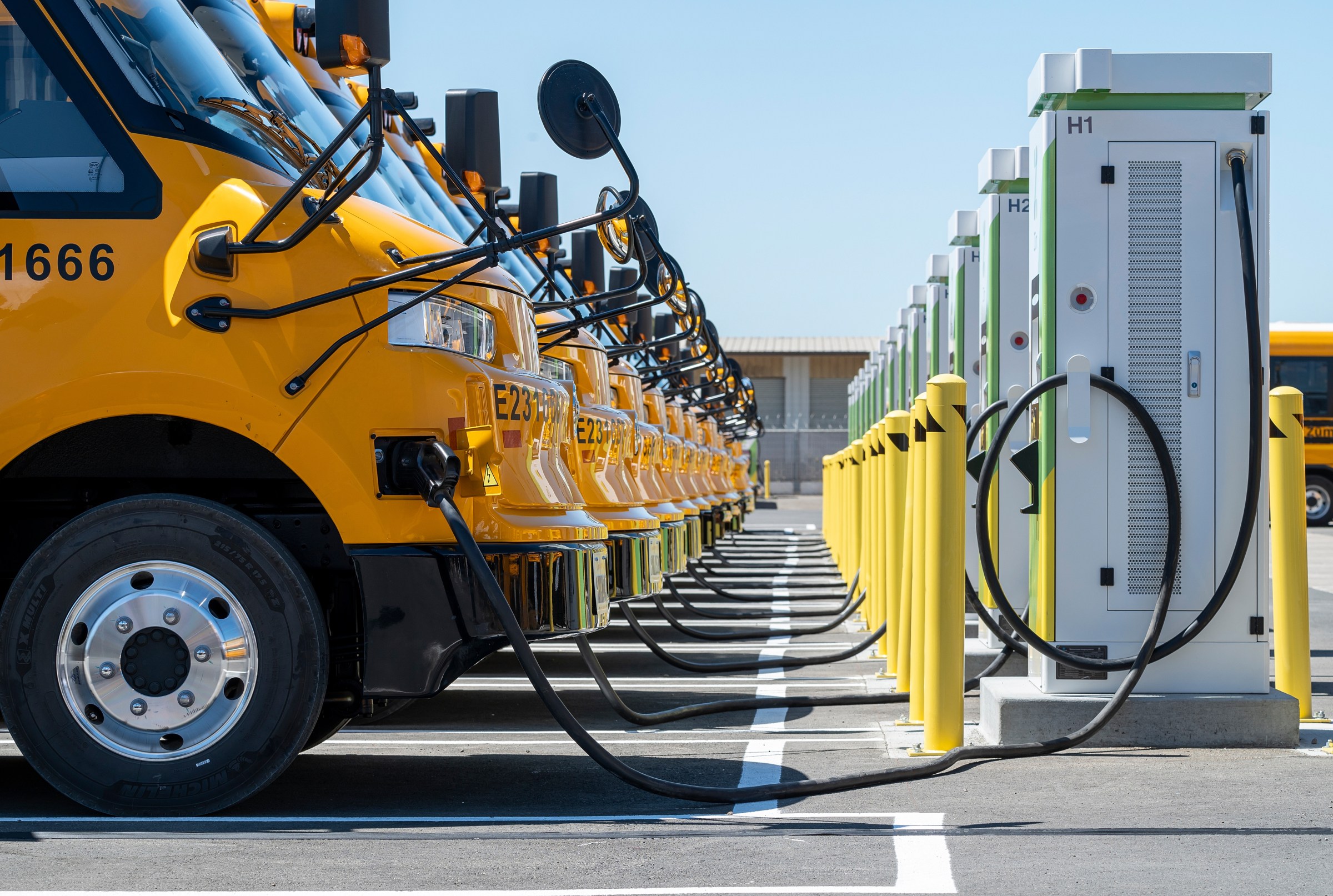 Yellow school buses