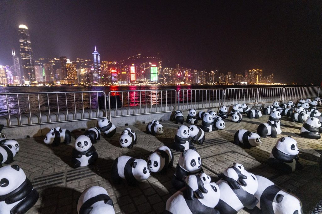 People gathered in Hong Kong for the city's first pyrotechnics drone show