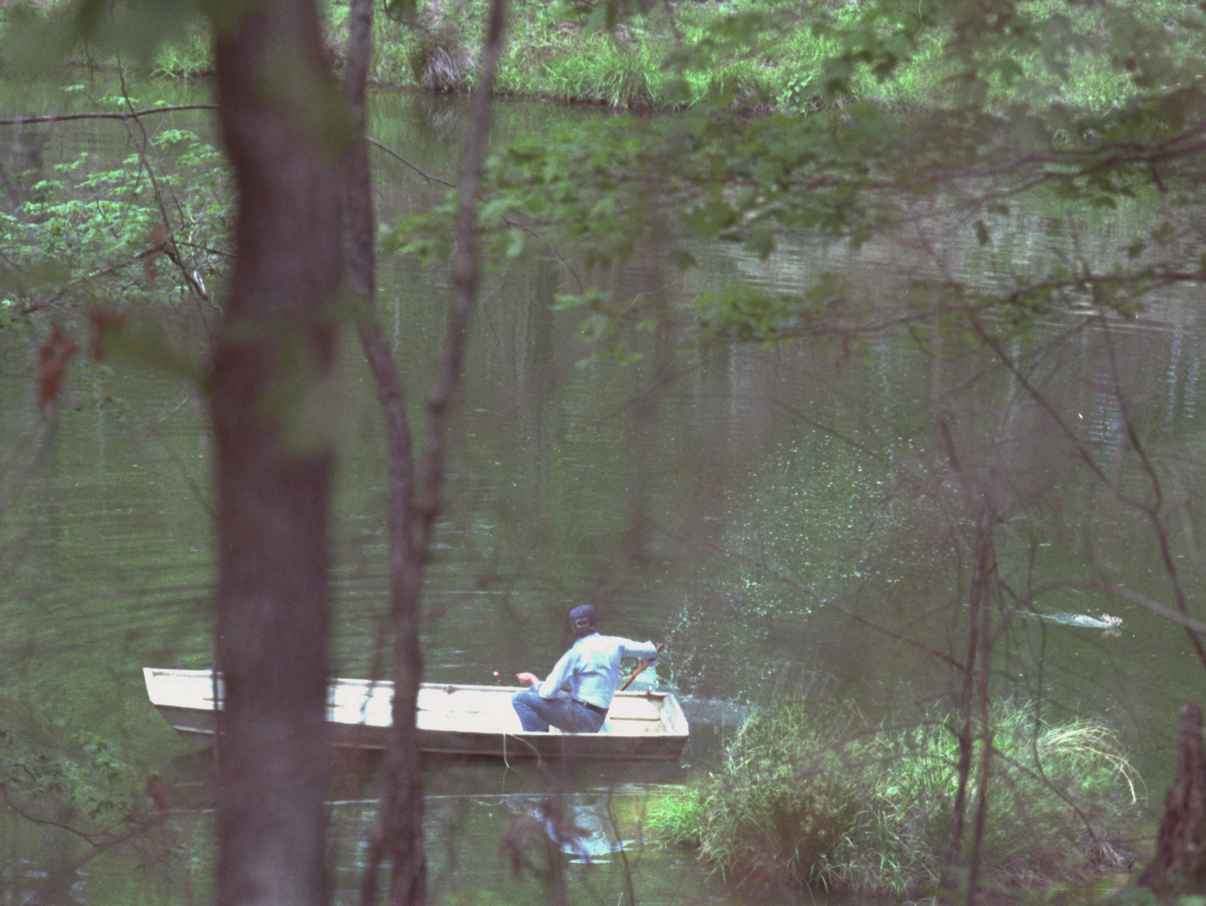 An official photograph of the Carter rabbit incident.