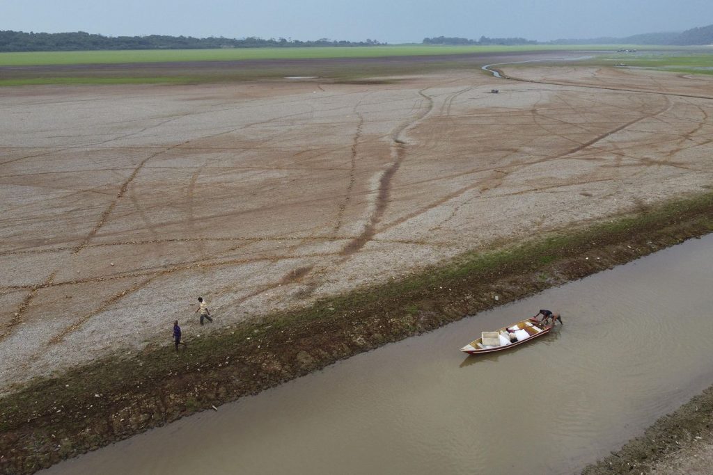 Deforestation, drought and fires battered Amazon rainforest in 2024