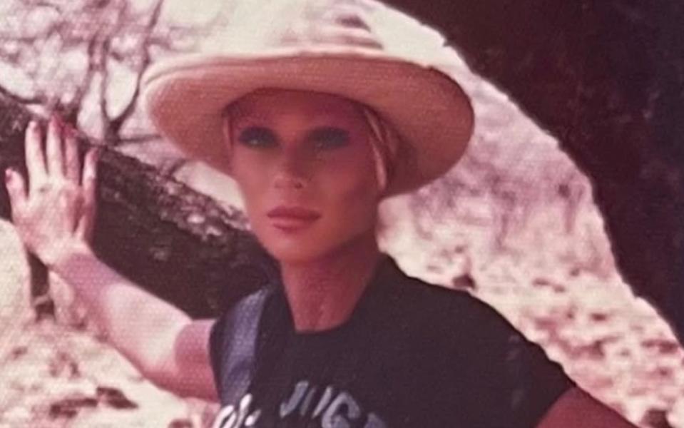 The changing face of Jocelyn Wildenstein