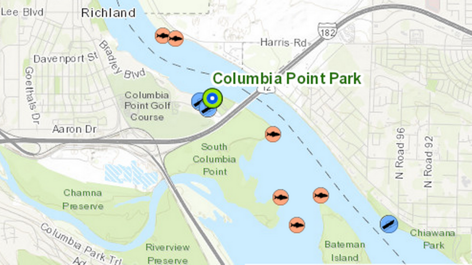 The fish in orange circles on this map show areas that have historically been good for catching northern pikeminnow near Columbia Point Park and Bateman Island in Richland.