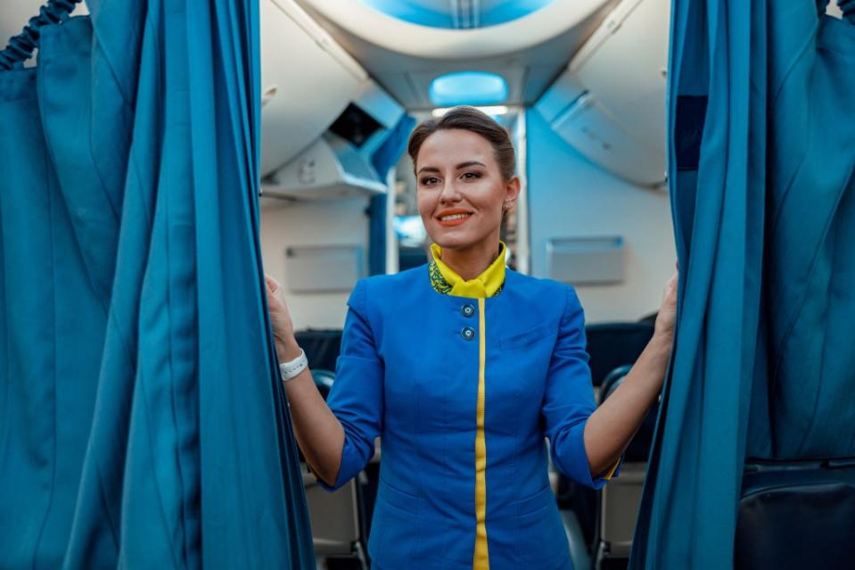 Flight attendants have gone viral revealing the dirtiest areas of most airplanes. Yaroslav Astakhov – stock.adobe.com