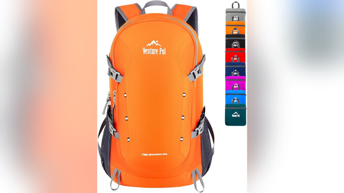 Take everything you need on your hike with this lightweight pack. 