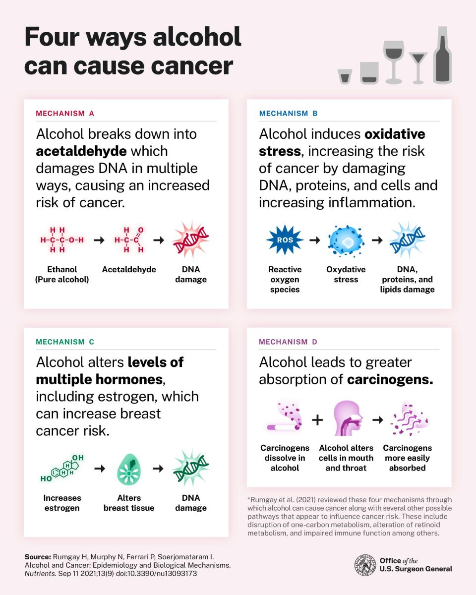 Ways alcohol causes cancer.