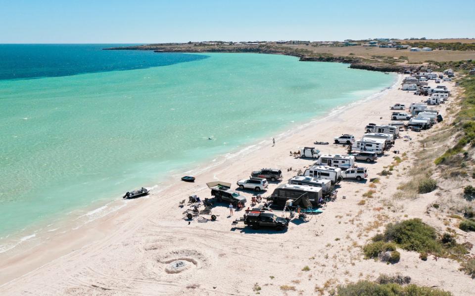 Fisherman warned of ‘big angry’ shark in water before surfer attacked