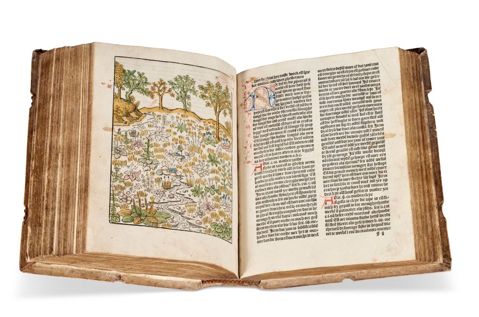 An open medieval book featuring a hand-colored illustration of a vibrant field with trees, flowers, and a stream on one page, accompanied by ornate Gothic script text on the opposite page.