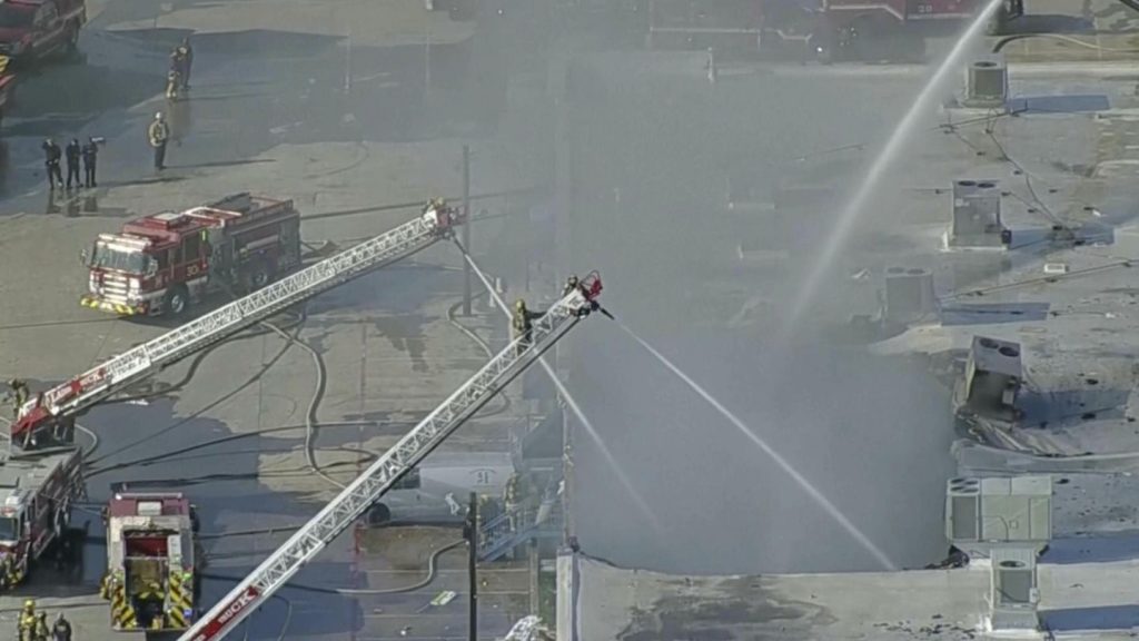 Smoke from building fire at Dallas shopping center kills 579 animals in pet store