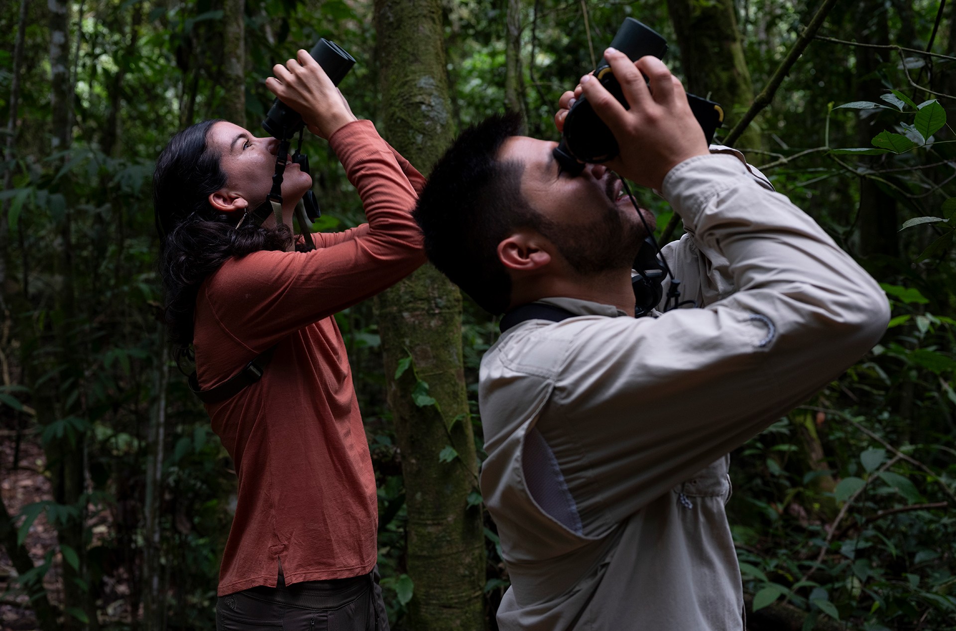 two people in a forest looking through binoculars toward the sky