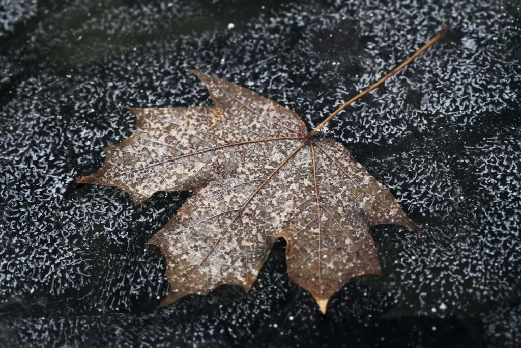 Drivers skid and crash as wintry mix grips central U.S. before moving east