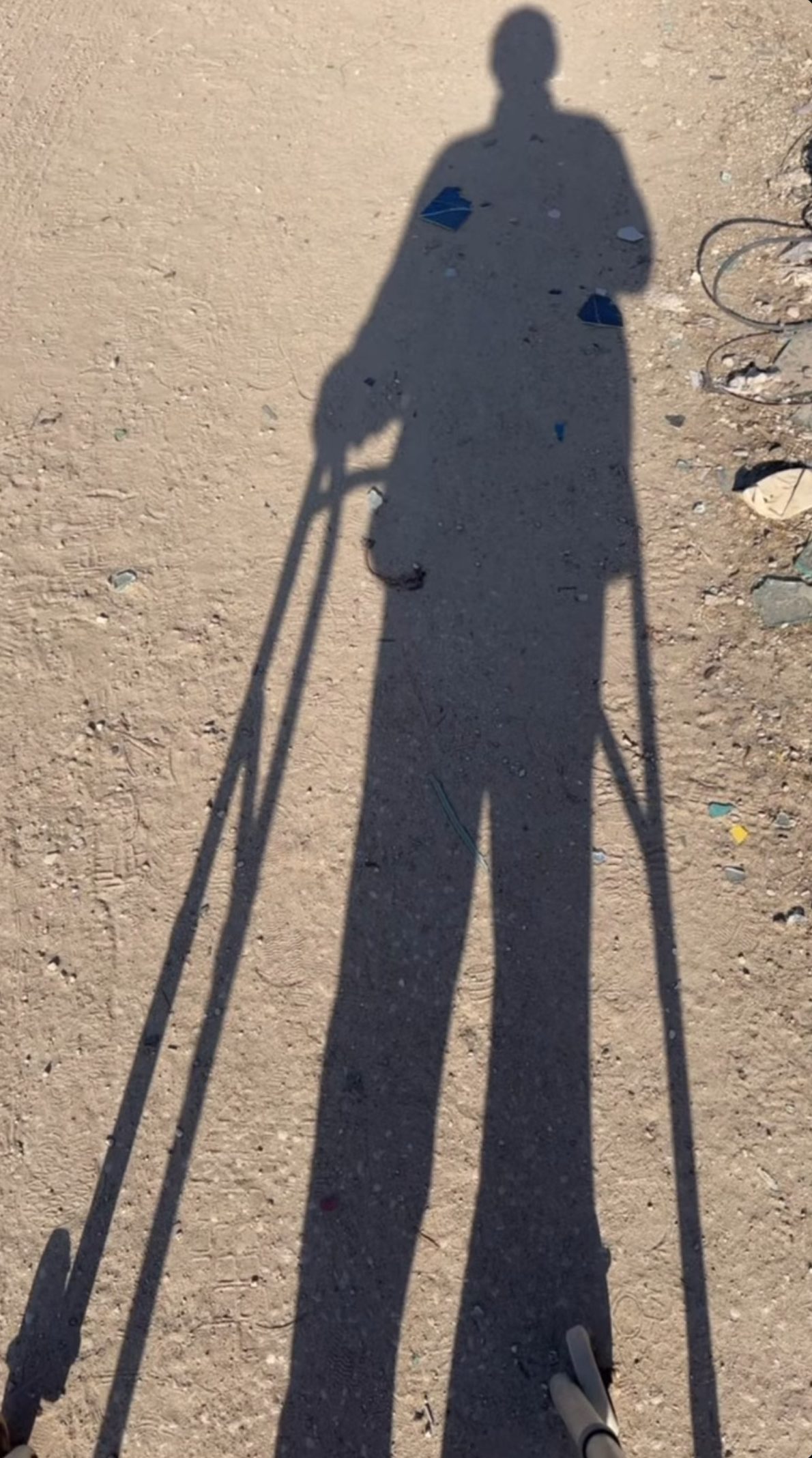 A self-portrait shows the shadow of E.S. with his walker.