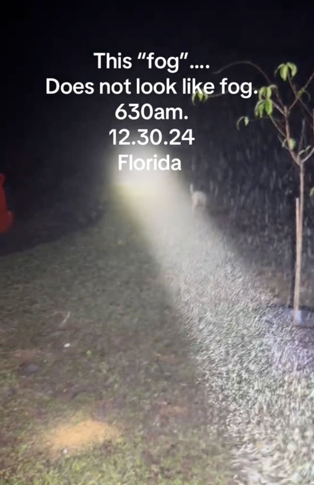 However, fog does contain tiny particles of water vapor and ice crystals, which are more visible when something like a flashlight is used to illuminate them. Tiktok/@spfphotographyfl