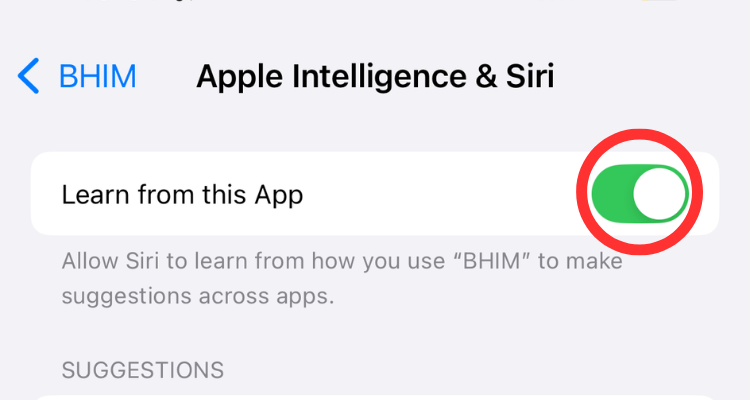 Screenshot of the Learn from this App option in the Apple Intelligence &amp; Siri menu.