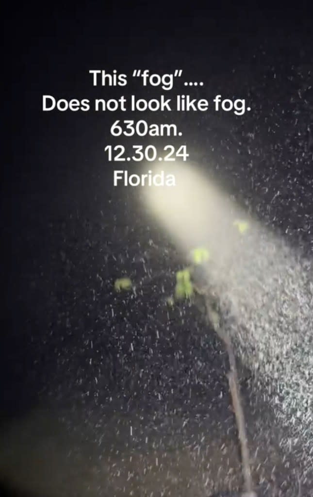 One user used their flashlight to illuminate particles floating within the fog. Tiktok/@spfphotographyfl