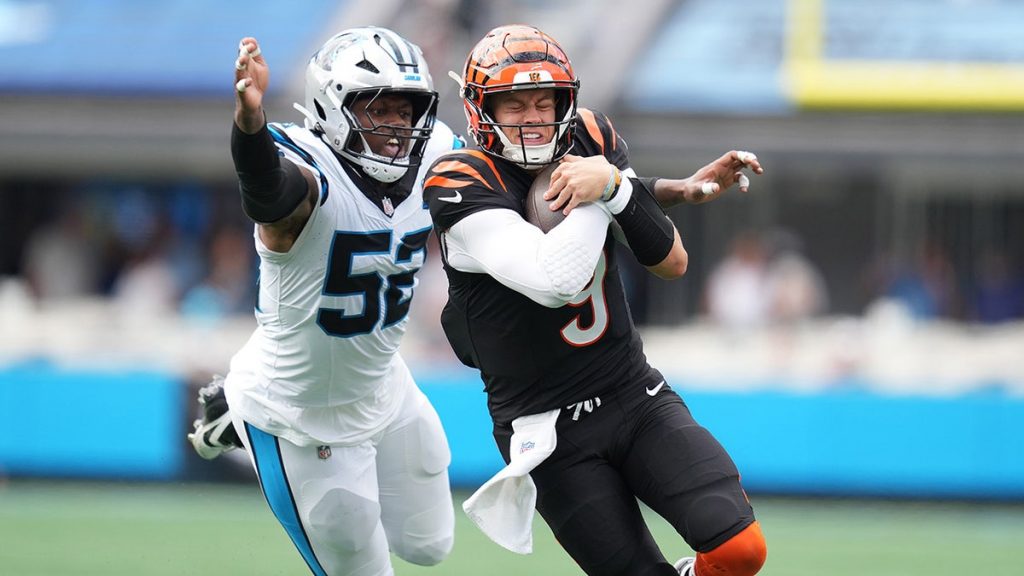 Panthers’ DJ Johnson will miss final game of the season after being involved in car accident
