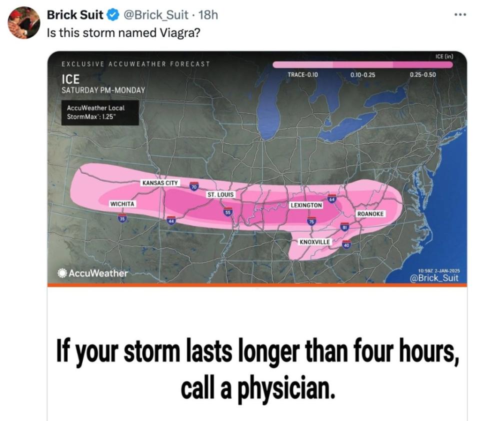 One of the many doctored images of the phallic-looking forecast. @Brick_Suit/X
