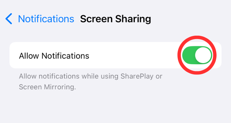 Screenshot of the Notification Screen Sharing button.