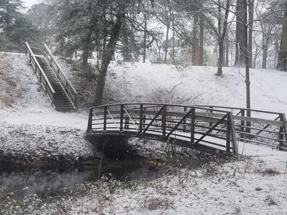 Snow stars to blanket the Salisbury City Park as it intensifies from flurries to serious snowfall late Monday morning.