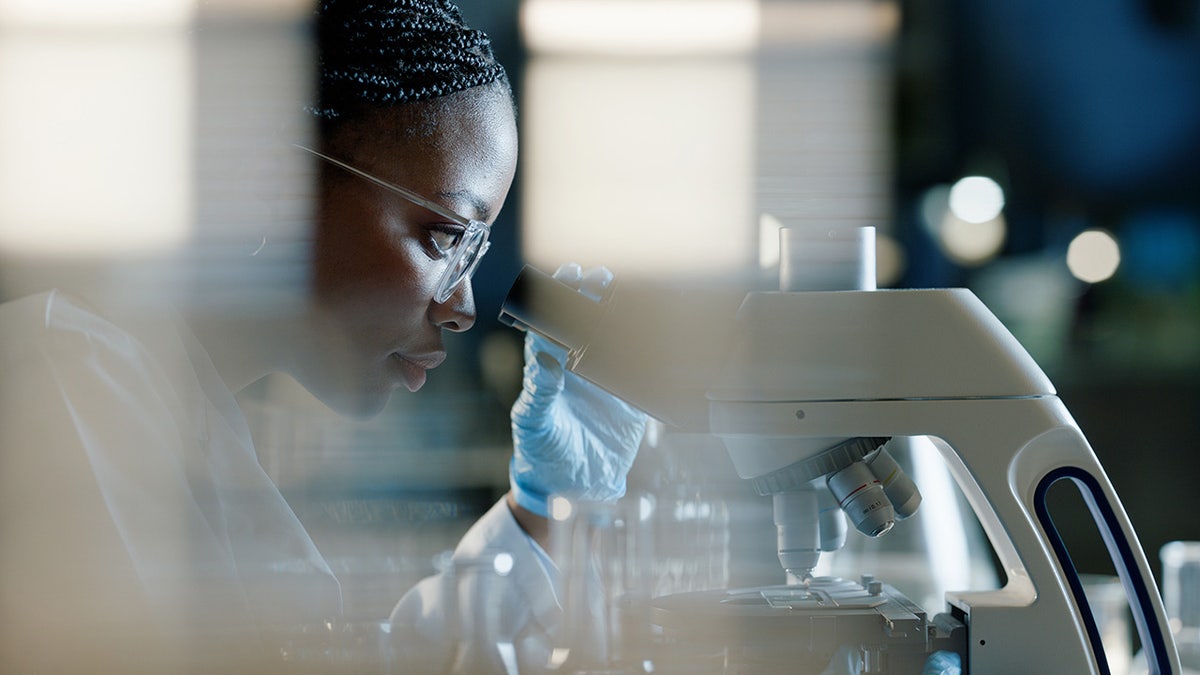 Scientist using microscope for analysis in lab