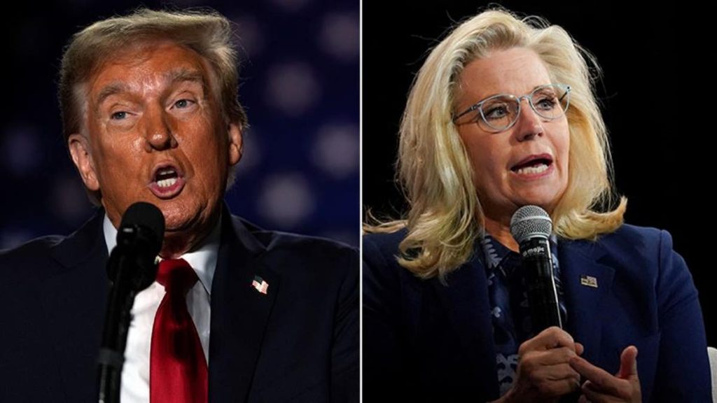 DAVID MARCUS: Biden gives Liz Cheney the Presidential Medal of Insufferability