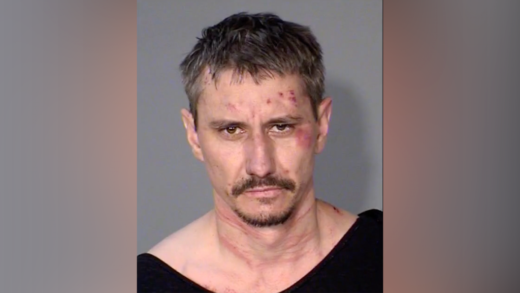 Minnesota man accused of dismembering multiple women makes plea