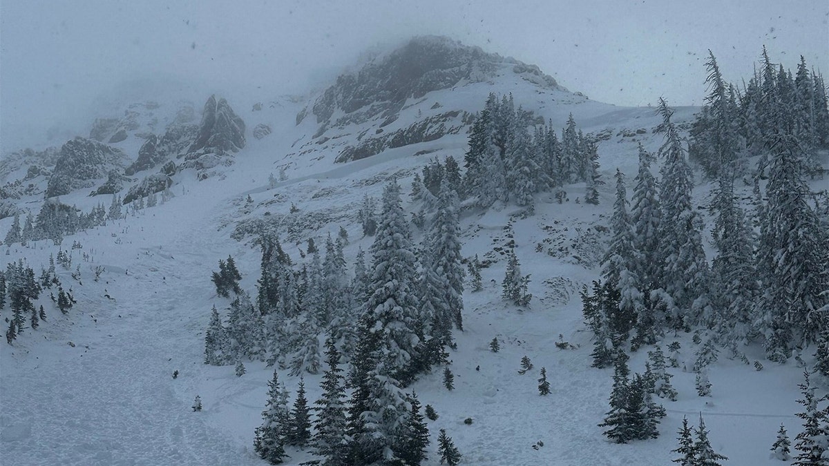 Avalanche in western Wyoming