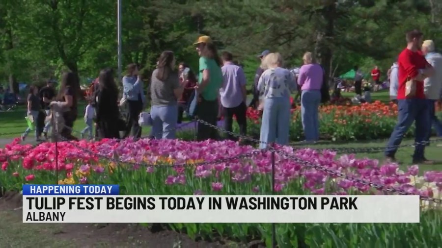 2025 Albany Tulip Festival kicks off, tulip queen crowned