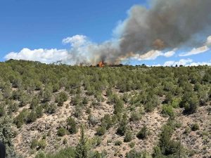 Evacuations ordered near Carbondale for wildfire